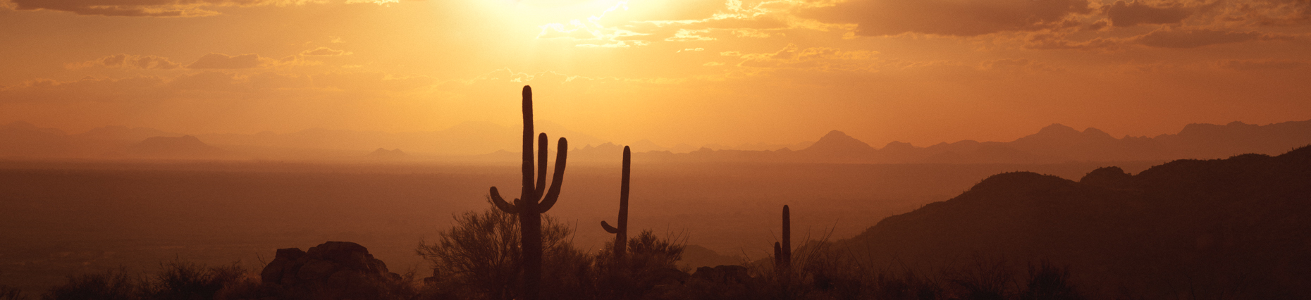 2011.10.26-Saguaros Arizona_801