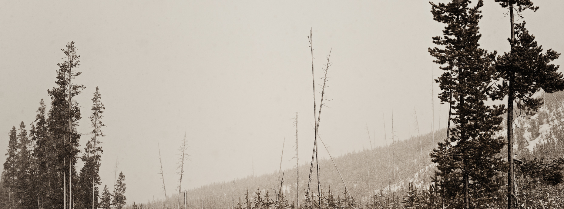2011_03_13-16_Tetons_3284-3292_PAN