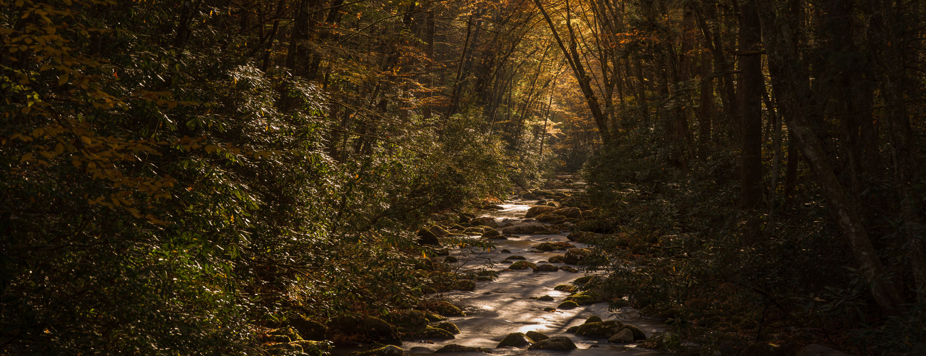 2012.10.19-21_SmokyMountains_0255-Edit