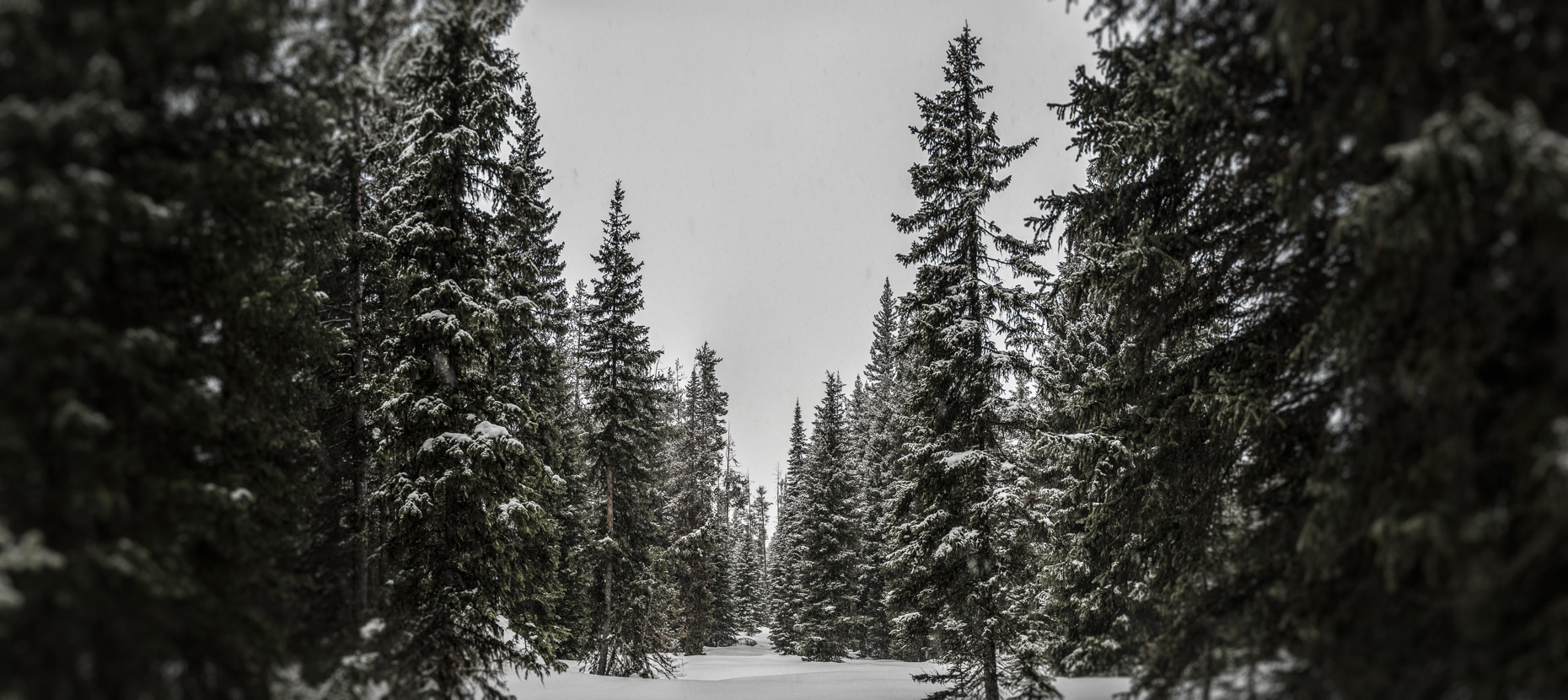 [Group 1]-2011_03_13-16_Tetons_2691_2011_03_13-16_Tetons_2709-7 images-Edit
