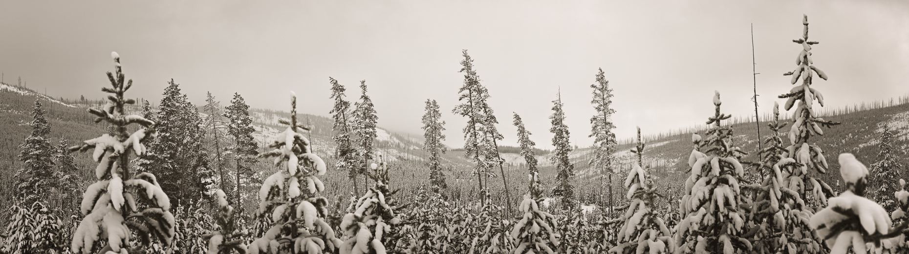 [Group 2]-2012.3.18-20-Teton_0752_2012.3.18-20-Teton_0805-54 images_a