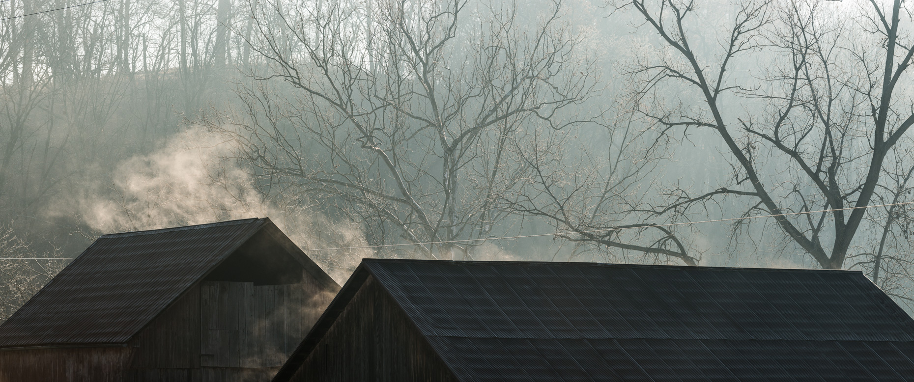 _DSC4855-Edit